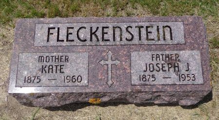 FLECKENSTEIN, JOSEPH J. - Dubuque County, Iowa | JOSEPH J. FLECKENSTEIN 