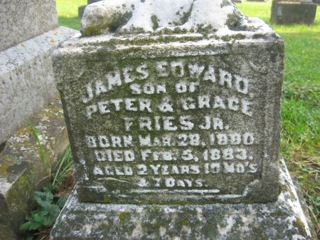 FRIES, JAMES EDWARD - Dubuque County, Iowa | JAMES EDWARD FRIES 