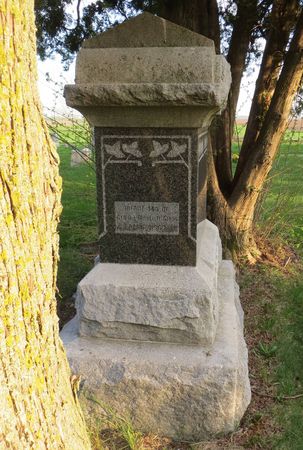 GIBBS, INFANT SON - Dubuque County, Iowa | INFANT SON GIBBS 