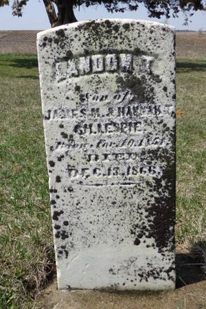 GILLESPIE, LANDON T. - Dubuque County, Iowa | LANDON T. GILLESPIE 