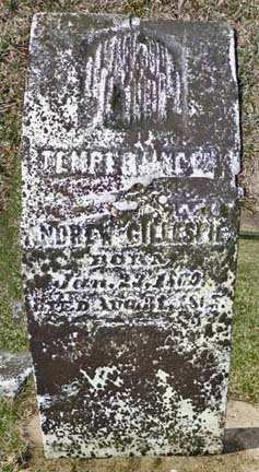 GILLESPIE, TEMPERANCE - Dubuque County, Iowa | TEMPERANCE GILLESPIE 