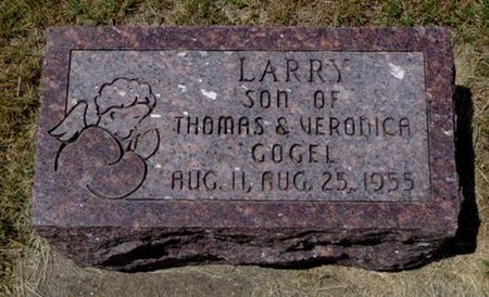 GOGEL, LARRY - Dubuque County, Iowa | LARRY GOGEL 