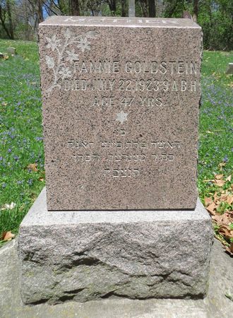 GOLDSTEIN, FANNIE - Dubuque County, Iowa | FANNIE GOLDSTEIN 