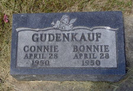 GUDENKAUF, CONNIE - Dubuque County, Iowa | CONNIE GUDENKAUF 