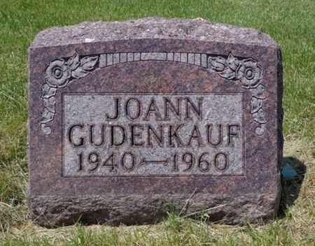 GUDENKAUF, JOANN - Dubuque County, Iowa | JOANN GUDENKAUF 