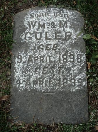 GULER., ARTHUR W. - Dubuque County, Iowa | ARTHUR W. GULER. 