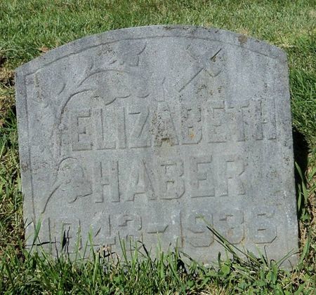 HABER, ELIZABETH - Dubuque County, Iowa | ELIZABETH HABER 