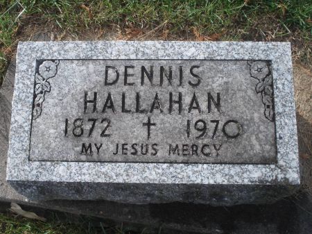 HALLAHAN, DENNIS - Dubuque County, Iowa | DENNIS HALLAHAN 