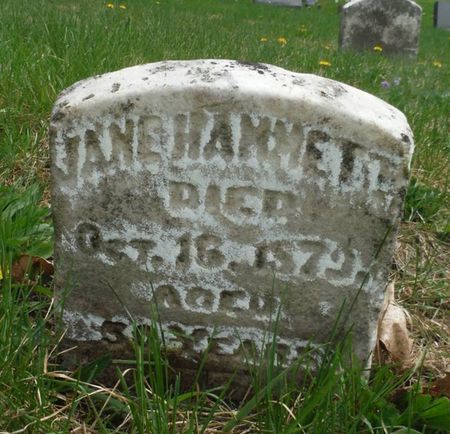 HAMMETT, JANE - Dubuque County, Iowa | JANE HAMMETT 