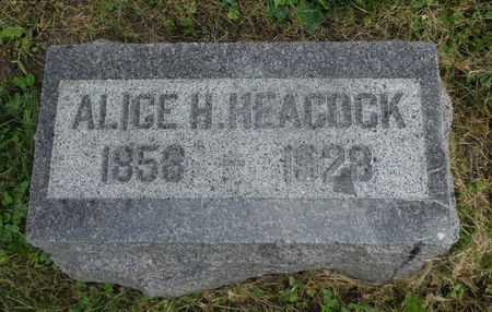 HEACOCK, ALICE H. - Dubuque County, Iowa | ALICE H. HEACOCK 
