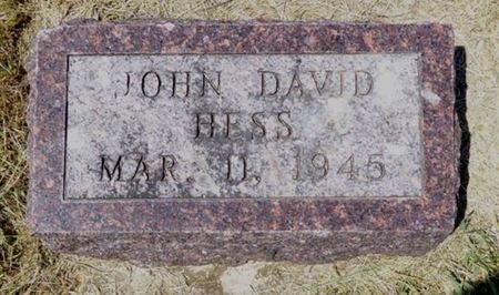 HESS, DAVID JOHN - Dubuque County, Iowa | DAVID JOHN HESS 