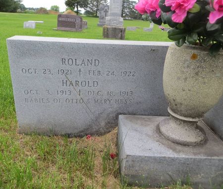 HESS, HAROLD - Dubuque County, Iowa | HAROLD HESS 