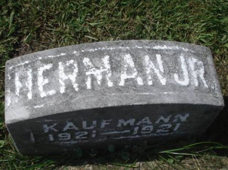 KAUFMANN, HERMAN JR. - Dubuque County, Iowa | HERMAN JR. KAUFMANN 