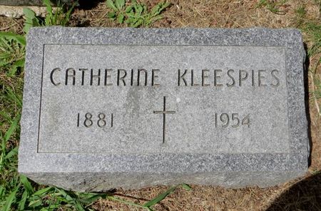 KLEESPIES, CATHERINE - Dubuque County, Iowa | CATHERINE KLEESPIES 
