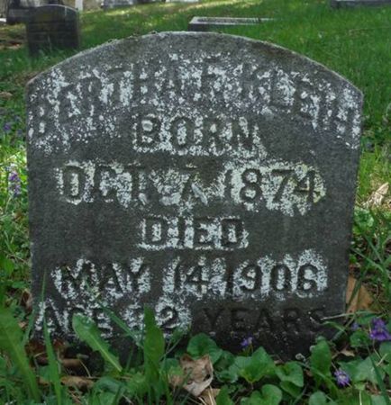 KLEIH, BERTHA F. - Dubuque County, Iowa | BERTHA F. KLEIH 