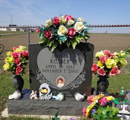 KOSTER, JOYCE A. - Dubuque County, Iowa | JOYCE A. KOSTER 