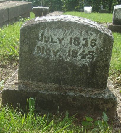 LANGWORTHY, L. B. - Dubuque County, Iowa | L. B. LANGWORTHY 