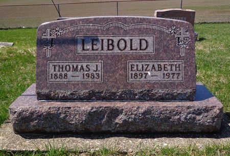 LEIBOLD, THOMAS J. - Dubuque County, Iowa | THOMAS J. LEIBOLD 