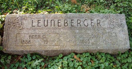 LEUNEBERGER, ANNA M. - Dubuque County, Iowa | ANNA M. LEUNEBERGER 