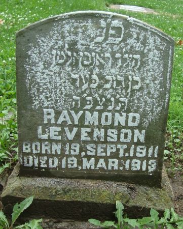 LEVENSON, RAYMOND - Dubuque County, Iowa | RAYMOND LEVENSON 