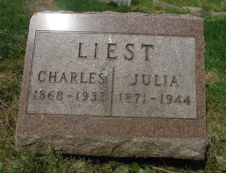 LIEST, JULIA - Dubuque County, Iowa | JULIA LIEST 