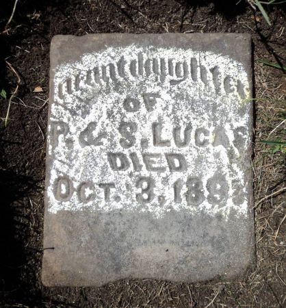 LUCAS, INFANT - Dubuque County, Iowa | INFANT LUCAS 