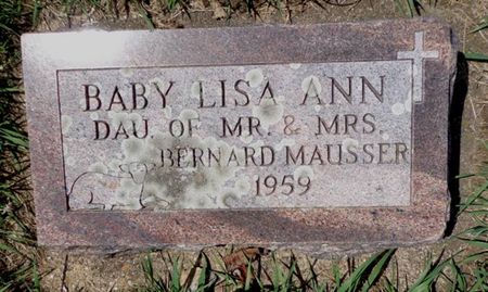 MAUSSER, LISA ANN - Dubuque County, Iowa | LISA ANN MAUSSER 