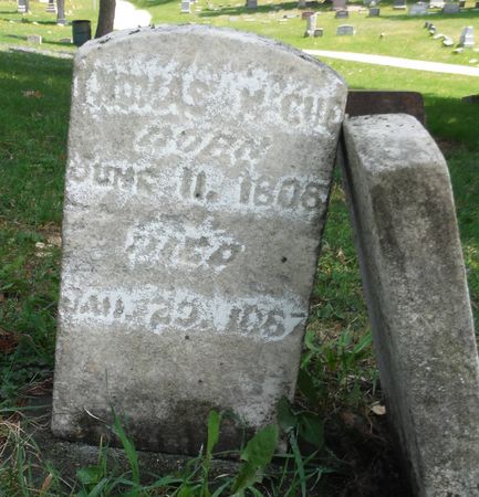 MCCUE, THOMAS - Dubuque County, Iowa | THOMAS MCCUE 