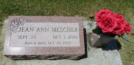 MESCHER, JEAN ANN - Dubuque County, Iowa | JEAN ANN MESCHER 