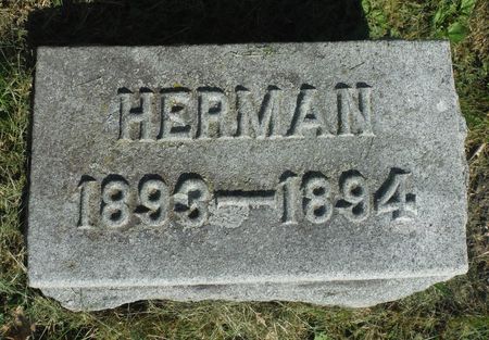 MINGES, HERMAN - Dubuque County, Iowa | HERMAN MINGES 