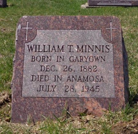 MINNIS, WILLIAM T. - Dubuque County, Iowa | WILLIAM T. MINNIS 