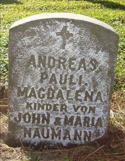 NAUMANN, MAGDALENA - Dubuque County, Iowa | MAGDALENA NAUMANN 