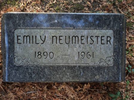 NEUMEISTER, EMILY - Dubuque County, Iowa | EMILY NEUMEISTER 