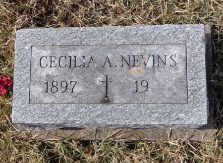 NEVINS, CECILIA A. - Dubuque County, Iowa | CECILIA A. NEVINS 