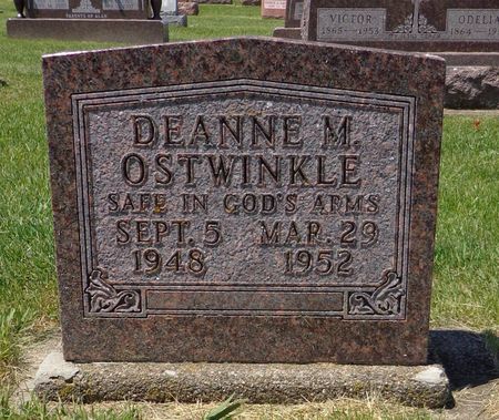 OSTWINKLE, DEANNE M. - Dubuque County, Iowa | DEANNE M. OSTWINKLE 