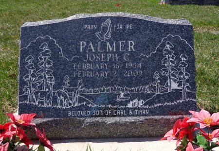 PALMER, JOSEPH C. - Dubuque County, Iowa | JOSEPH C. PALMER 