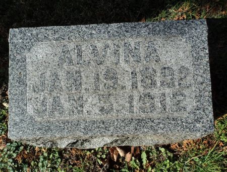 PETSCH, ALVINA - Dubuque County, Iowa | ALVINA PETSCH 