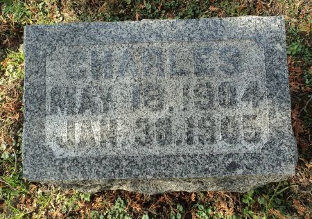 PETSCH, CHARLES - Dubuque County, Iowa | CHARLES PETSCH 