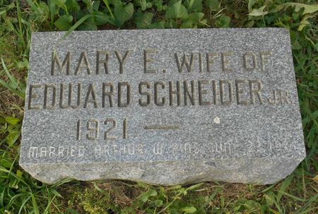 PINS, MARY E. - Dubuque County, Iowa | MARY E. PINS 