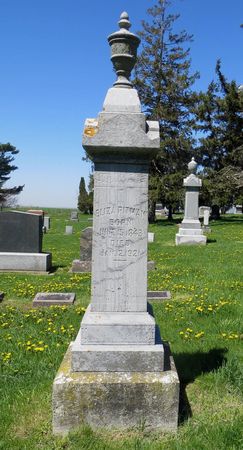 PITMAN, ELIZA - Dubuque County, Iowa | ELIZA PITMAN 