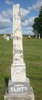 PLATT, DOROTHY M. - Dubuque County, Iowa | DOROTHY M. PLATT 