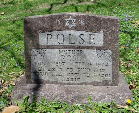 OLLER POLSE, ROSE - Dubuque County, Iowa | ROSE OLLER POLSE 
