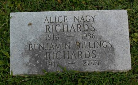 RICHARDS, BENJAMIN BILLINGS - Dubuque County, Iowa | BENJAMIN BILLINGS RICHARDS 