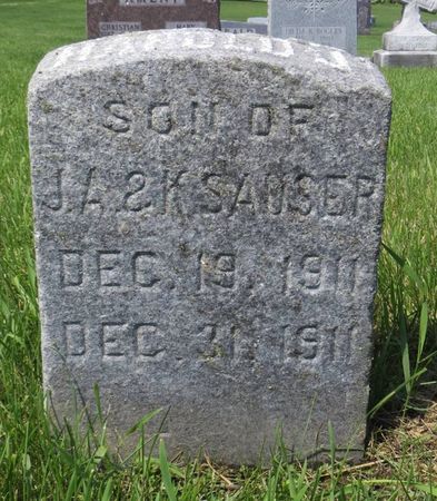 SAUSER, HAROLD J. - Dubuque County, Iowa | HAROLD J. SAUSER 