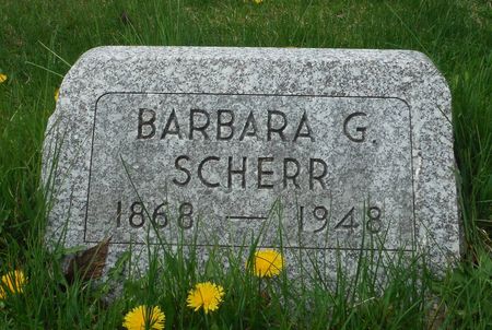 SCHERR, BARBARA G. - Dubuque County, Iowa | BARBARA G. SCHERR 