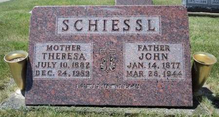 SCHIESSL, THERESA - Dubuque County, Iowa | THERESA SCHIESSL 