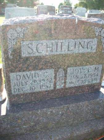 SCHILLING, DAVID C. - Dubuque County, Iowa | DAVID C. SCHILLING 
