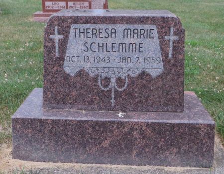 SCHLEMME, THERESA MARIE - Dubuque County, Iowa | THERESA MARIE SCHLEMME 