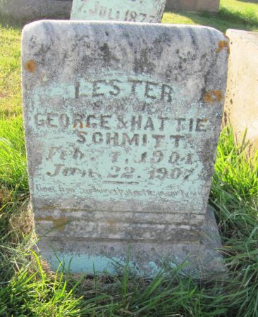 SCHMITT, LESTER - Dubuque County, Iowa | LESTER SCHMITT 