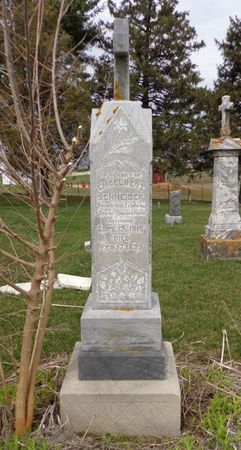 SCHNEIDER, ENGELBERT - Dubuque County, Iowa | ENGELBERT SCHNEIDER 